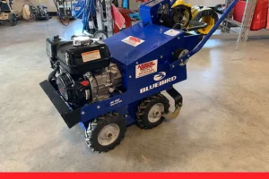 Lawn Landscape and Tree